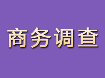 泗县商务调查